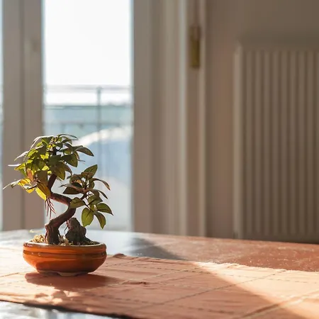 Aurelia -spacious With Ac And Panoramic Danube Views Apartmán Budapešť