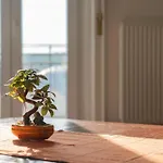Aurelia -spacious With Ac And Panoramic Danube Views アパート ブダペスト